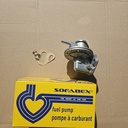 Benzinpumpe mit Handpumpe